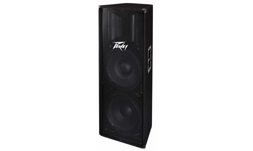 Columna Peavey PV215