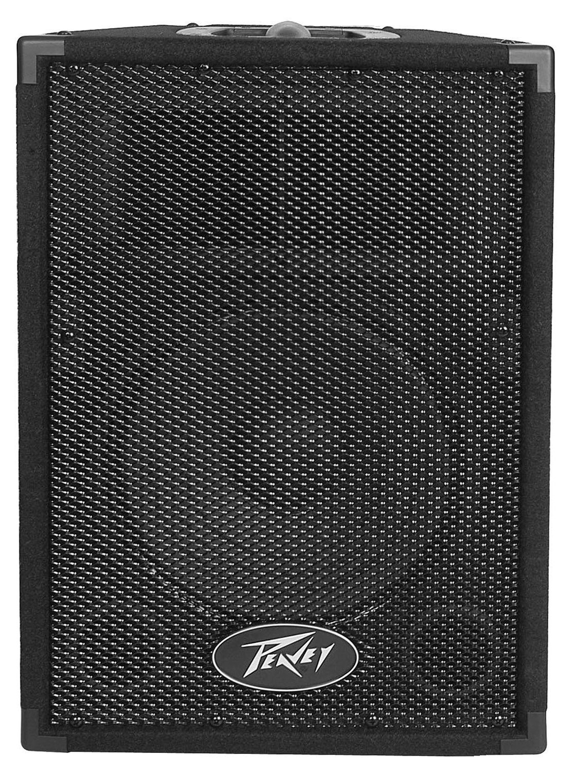 Columna Peavey PVi10