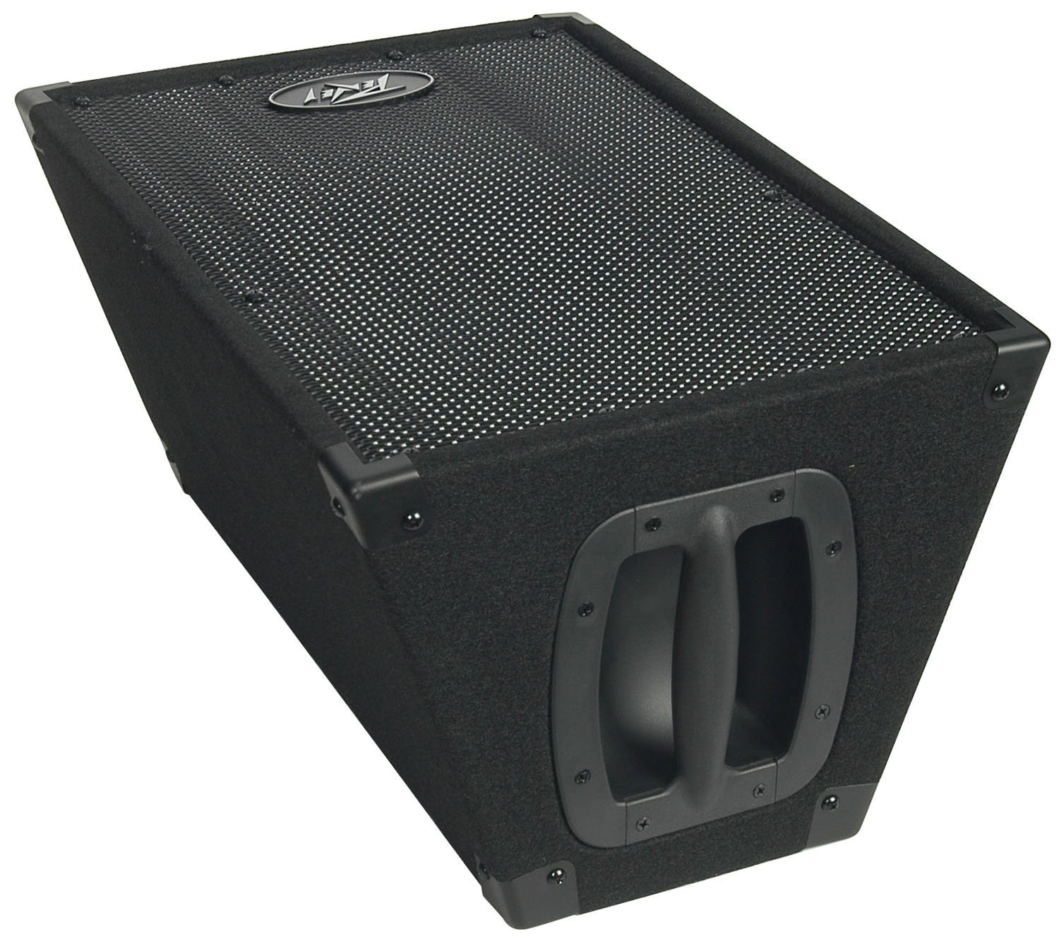 Columna Peavey PVi10