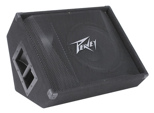 Columna Peavey PVi10