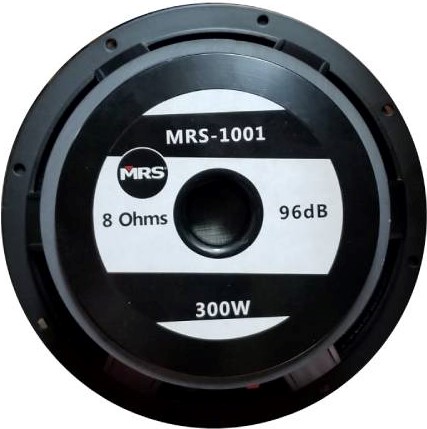 PARLANTE MRS-1001 300W  10" 