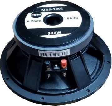 PARLANTE MRS-1001 300W  10" 