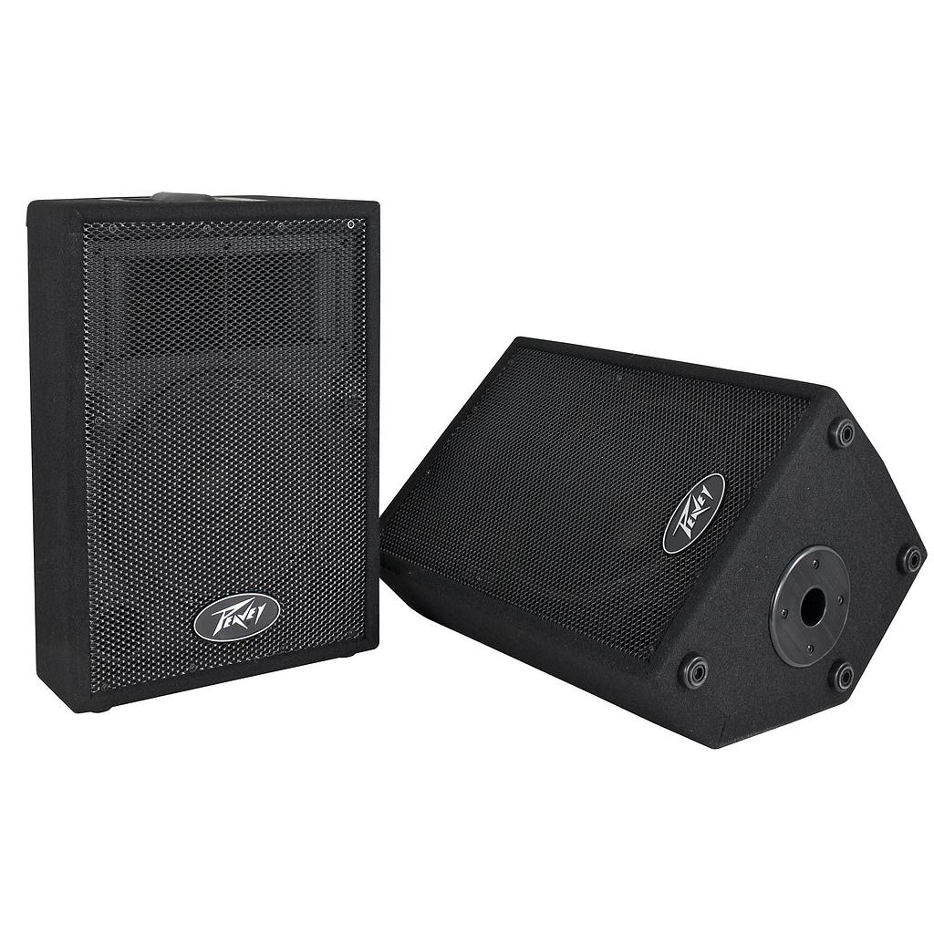 Columna Peavey PVi10