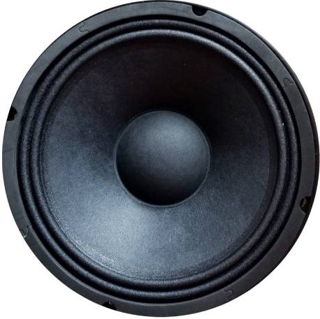 PARLANTE MRS-1001 300W  10" 