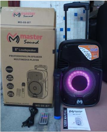 Columna 8" MS-08 BT 500WATTS