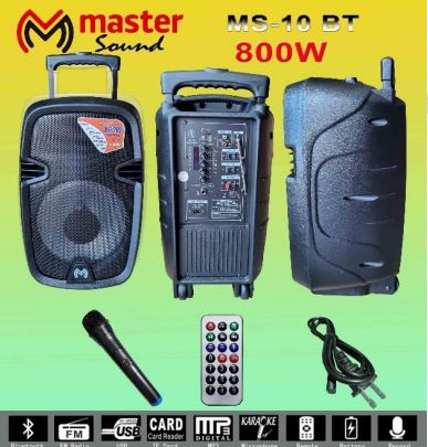 Columna  Activo 10" MS-10 BT 800 WATTS