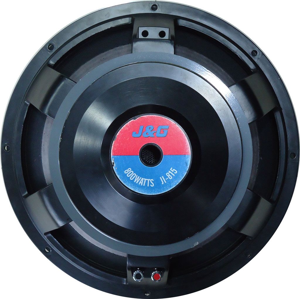 Parlante JyG JI-815  15"