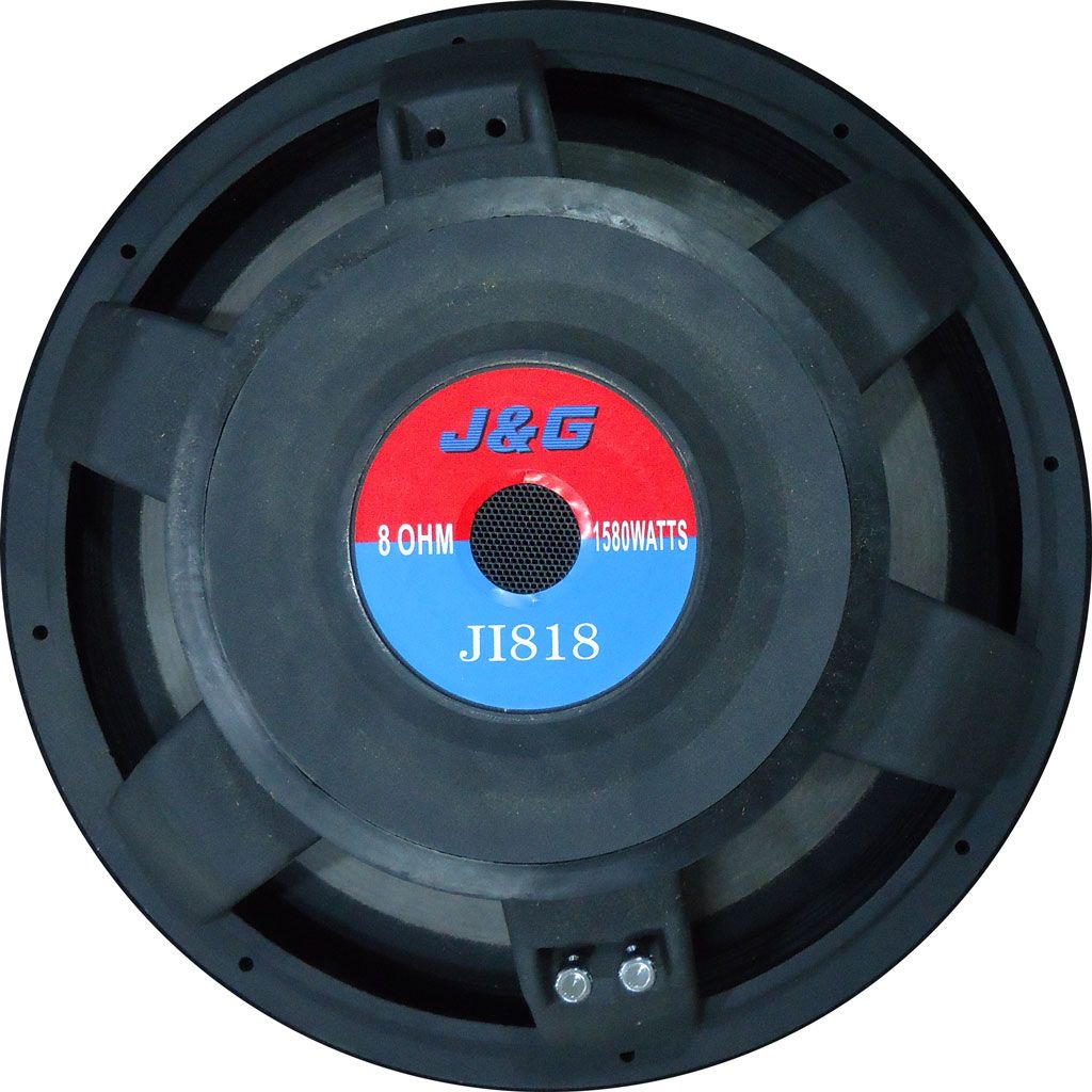Parlante JyG 18" JI818
