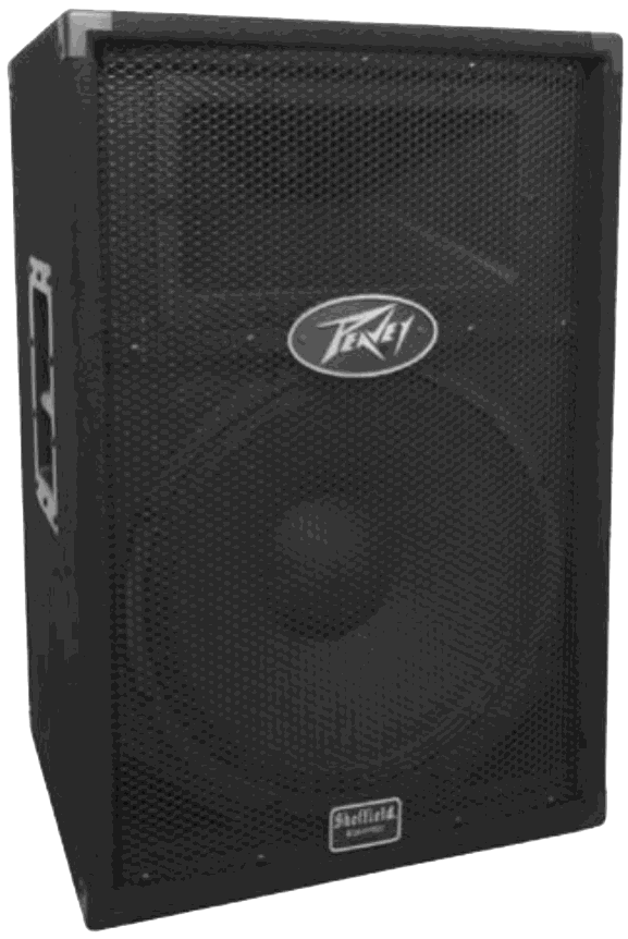 Columna Peavey PV1015
