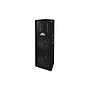 Columna Peavey PV215