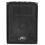 Columna Peavey PVi10