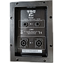 Croosover TDU PV250 2 vías 1000W