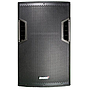 COLUMNA LEXSEN RX115 1000W